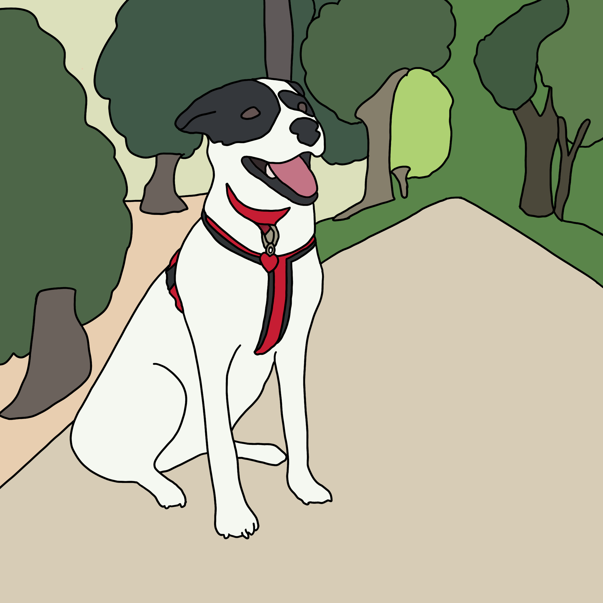 Dog